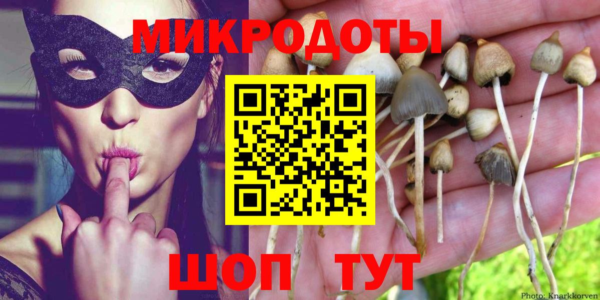 Псилоцибиновые грибы ЛСД  Вход с VPN  Губкинский  Галлюциногенные грибы Psilocybine cubensis 