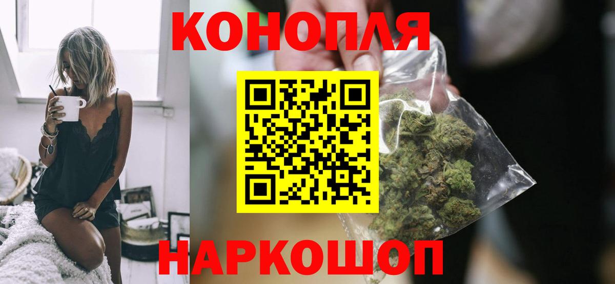 Канабис семена Губкинский